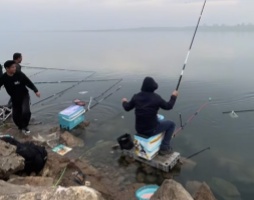 /zh/hangyedongtai/1459.html