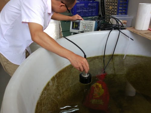 上官昌爍測量北京浩普中興的測深儀20170705 (11)_副本.jpg